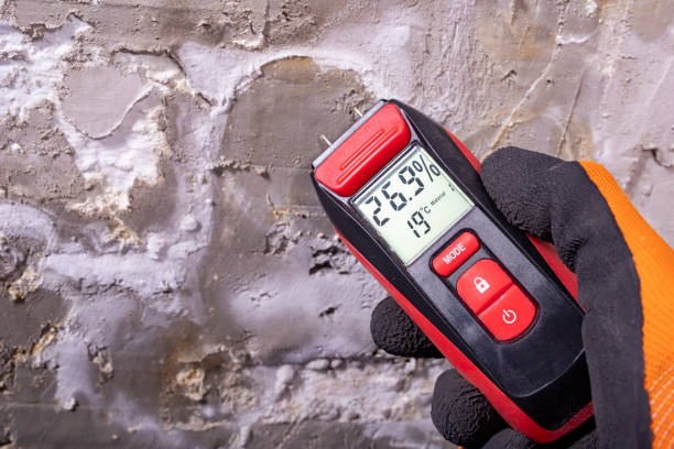 Best DIY Mold Remediation Support Services in Plainfield, IL