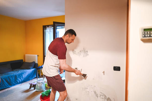 Best HVAC Mold Remediation in Plainfield, IL